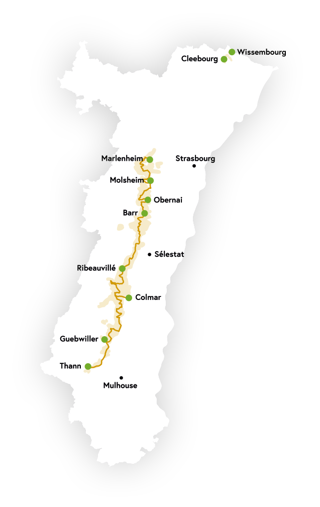 Carte Destination Alsace Route des Vins