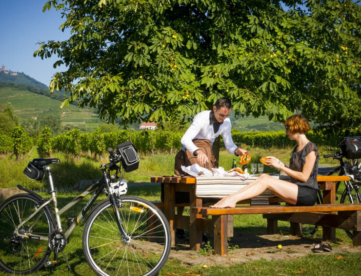 Vélo dans les vignes en Alsace