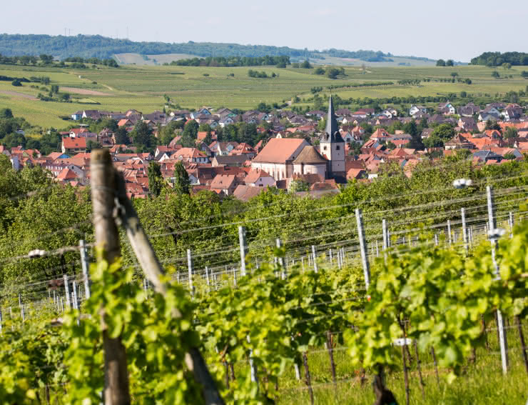 5 main stops on the Alsace Wine Route | Alsace Wine Route