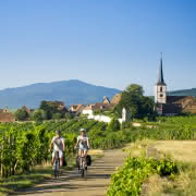 Vélo vignole Alsace