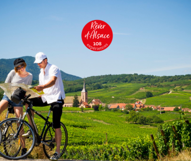 alsace wine tour from basel