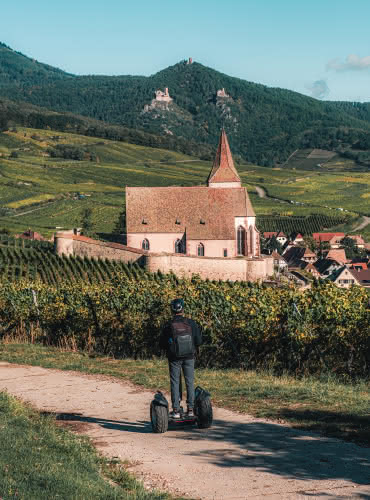 Segway - Route des Vins d'Alsace
