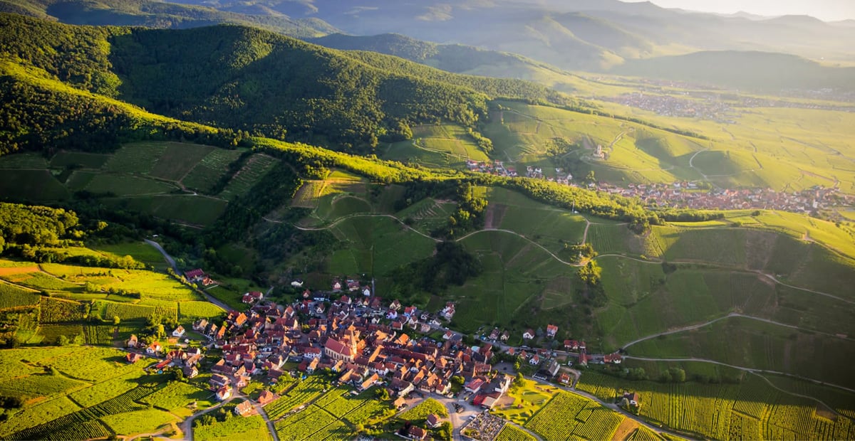 La Route des Vins d'Alsace | Visites et découvertes | Site officiel