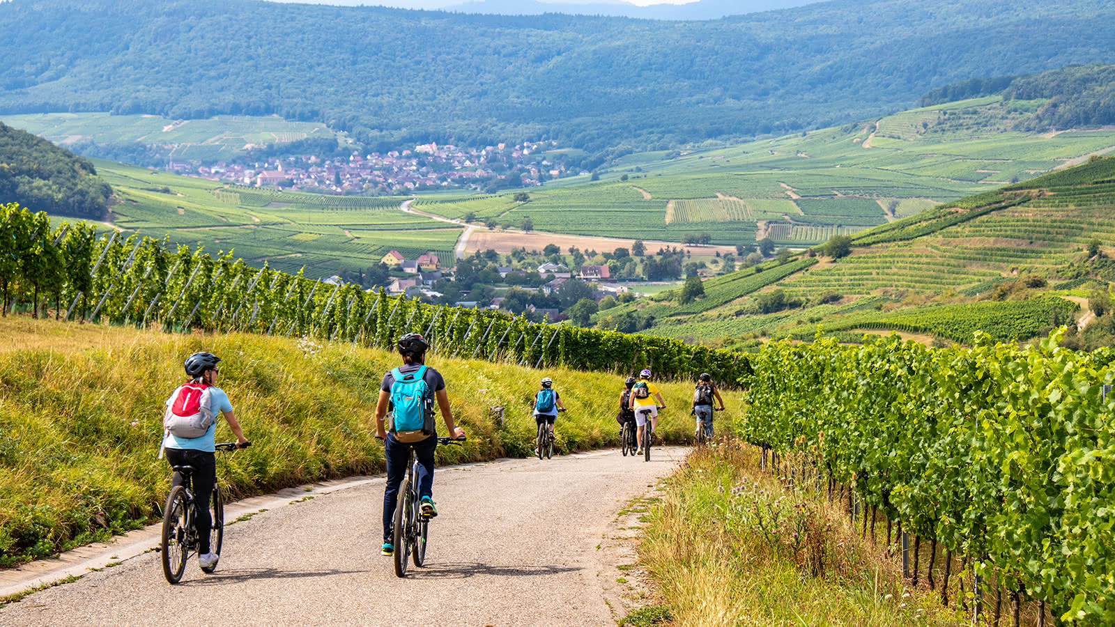 Vélo dans le vignoble en Alsace