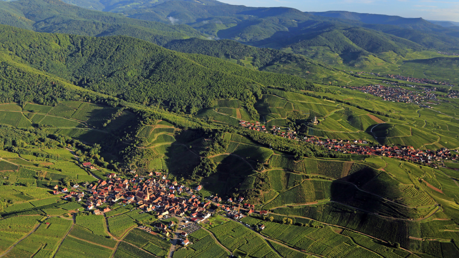 Alsace Wine Route: the ideal wine tour itinerary
