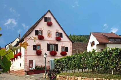 Vins François Weck et Fils, Gueberschwihr, Pays de Rouffach, Vignobles et Châteaux, Haut-Rhin, Alsace