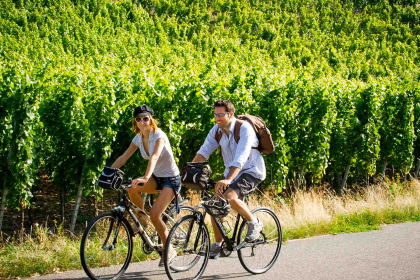 Le paysage à bicyclette, Pays de Rouffach, Vignobles et Châteaux, Haut-Rhin, Alsace